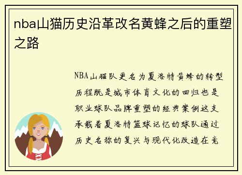nba山猫历史沿革改名黄蜂之后的重塑之路
